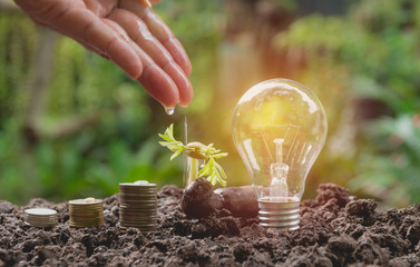 Energy saving light bulb and tree growing on stacks of coins on nature background.