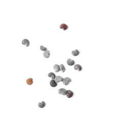 Ripe poppy seeds isolated on white