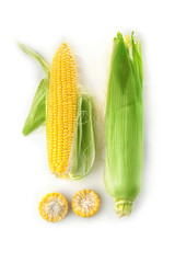 Ripe corn cobs on white background