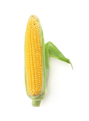 Obraz premium Ripe corn cob on white background