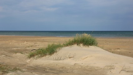 Fototapeta na wymiar Sand dune at the west coast of Denmark. Beach north of Hirtshals.