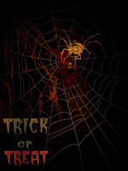 Pumpkin spider