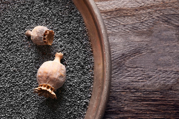 Poppy seeds and heads in metal tray on table, closeup