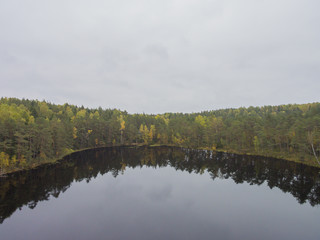 Aerial view of autumn forest