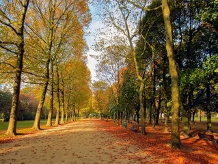 Naklejka premium Brussels, Belgium