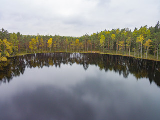 Aerial view of autumn forest