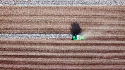 Aerial view of a Large green Cotton picker working in a field.