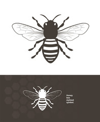 Detailed honey bee vector illustration for product label.