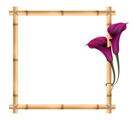Realistic violet calla lily, bamboo frame. The symbol of Royal beauty.