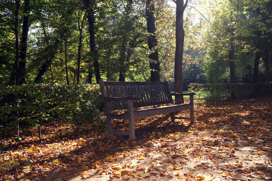Parkpank im Georgengarten