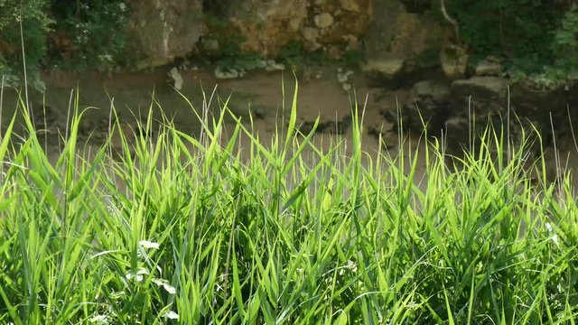 Acqua e fango nel fiume
