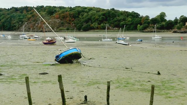 La Rance &agrave; mar&eacute;e basse