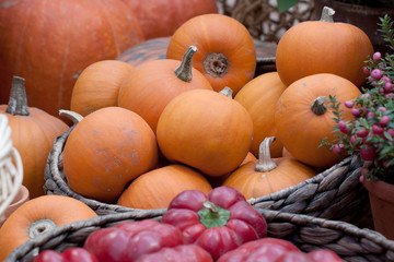 harvest season and preparations for the next season