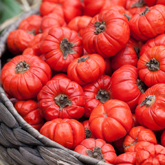 ripe red tomatoes in a basket