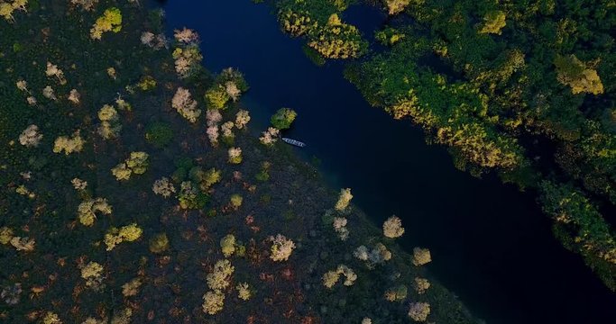 Aerial image in the Pantanal Biome. Boat in river. Native forest. Image from top to the bottom. Mato Grosso do Sul state, Central-Western - Brazil.