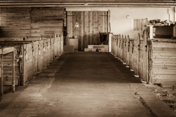 Sepia shot of horse stable interior