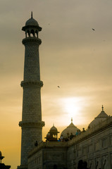 Beautiful tower and domes of the Taj Mahal shot during the golden hour with the beautiful sunset light. This famous monument is majestic in its architecture and building design