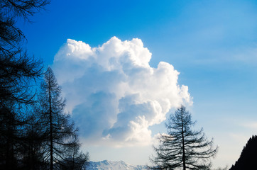 Silhouette con nuvola e alberi