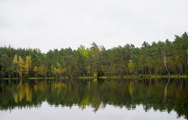 Beautiful autumn forest near the water