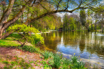 Frühlingserwachen im Kurpark Bad Aibling