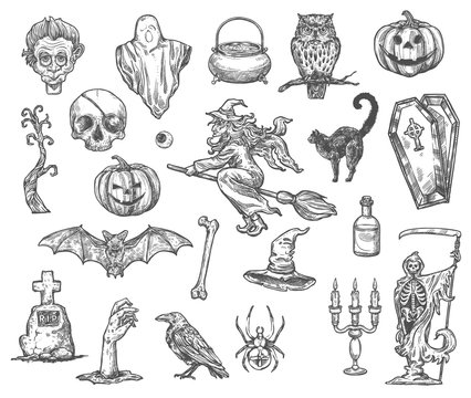 Halloween Witch Monsters Vector Sketch Icons Set