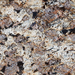 Surface rocks of Khibiny Mountains