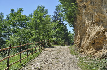 Fototapeta na wymiar Forest Path in Jajce, Bosnia and Hezegovina