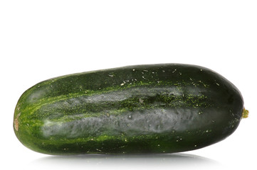 Cucumber