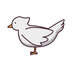 dove bird icon