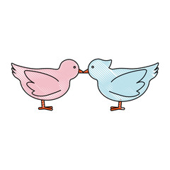 doves birds icon over white background vector illustration