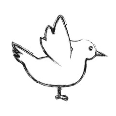 dove bird icon over white background vector illustration