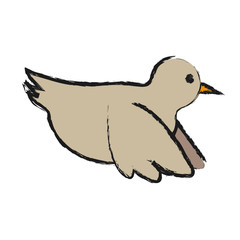 dove bird icon over white background vector illustration
