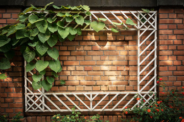 frame with leaves and rtsveta on a brick wall