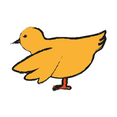 dove bird icon over white background vector illustration