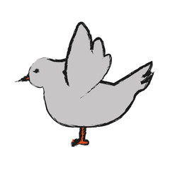 dove bird icon over white background vector illustration