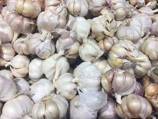 Autumn fresh tasty garlic on the market