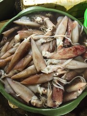 Big fresh squid at the fish market