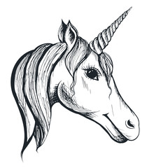 unicorn © kaidash