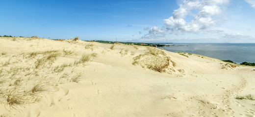 Desert  in Nida panorama