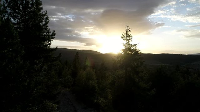 Nature Aerial. Top view and side flying over the beautiful sunset with pine trees forest. Reveal and parallax with sun flare and tree silhouette as  mask over beautiful nature in background...