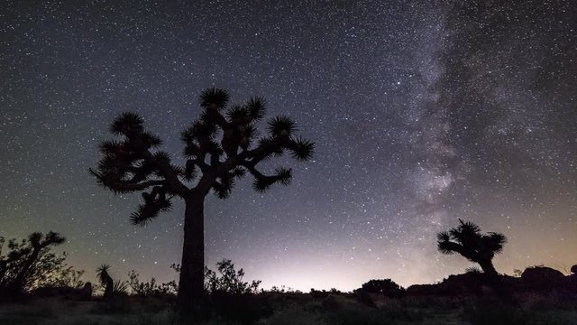 Night timelapse in Joshua Tree shows the formation and movement of the Milky Way as day becomes night.	