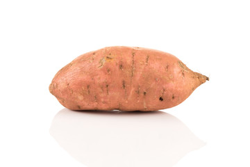 Sweet potato on the white background