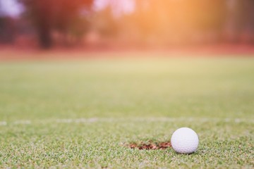 Golf ball on the green.