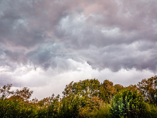 Obraz premium Thunderstorm clouds over trees, Belluno, Veneto, Italy