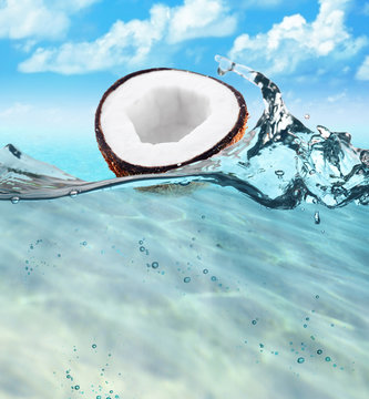 Half Of Coconut Floating On Water Surface In Ocean