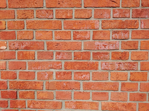 Fototapeta kolorowe ściany z cegły