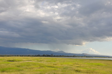 The African landscape. Kenya