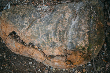 Поверхность серо-коричневого камня в лесу