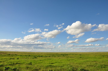 The African landscape. Kenya