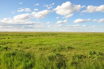 The African landscape. Kenya